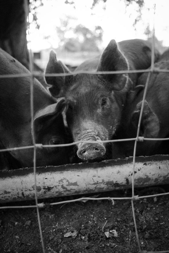 Hillcreek Market photo 2