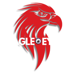 Eagle Eye Enterprises, LLC Logo