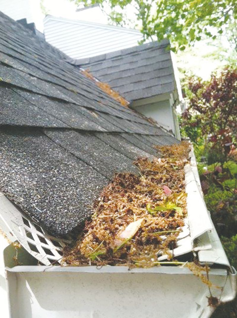 before gutter covers