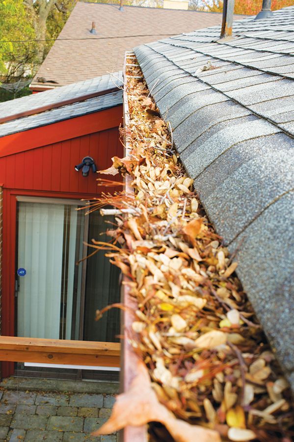 Autumnal colors are beautiful, except when they are in your gutters. The Gutter Cover Company has the solution.