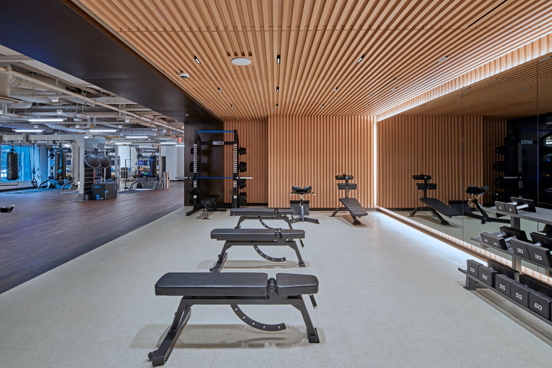colored mirrors in gym