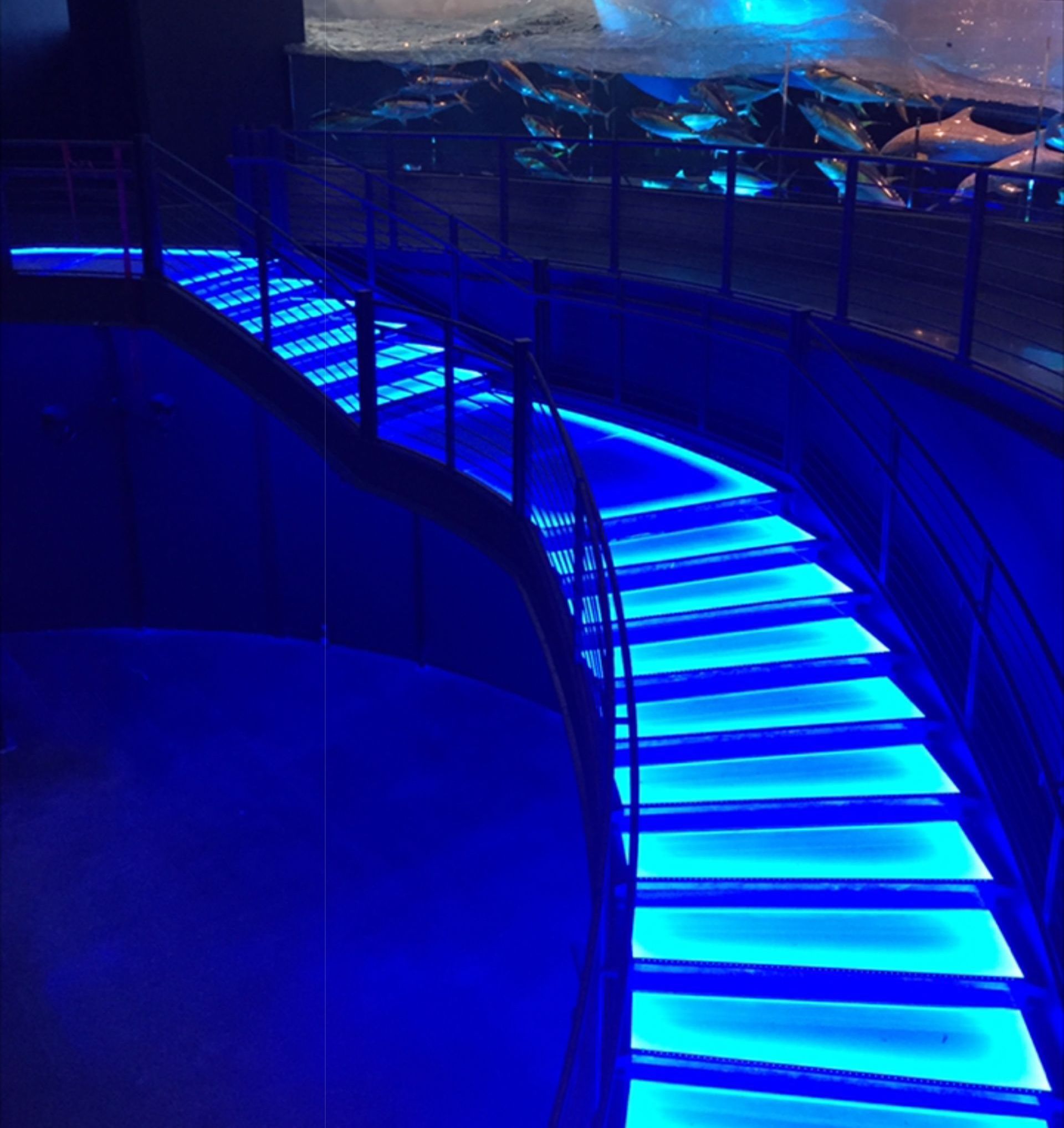 A staircase is lit up with blue lights and looks like a piano keyboard.