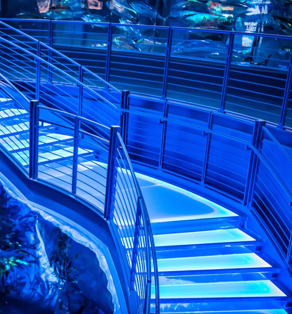 Glass flooring at Bass headquarters with blue LED backlighting.