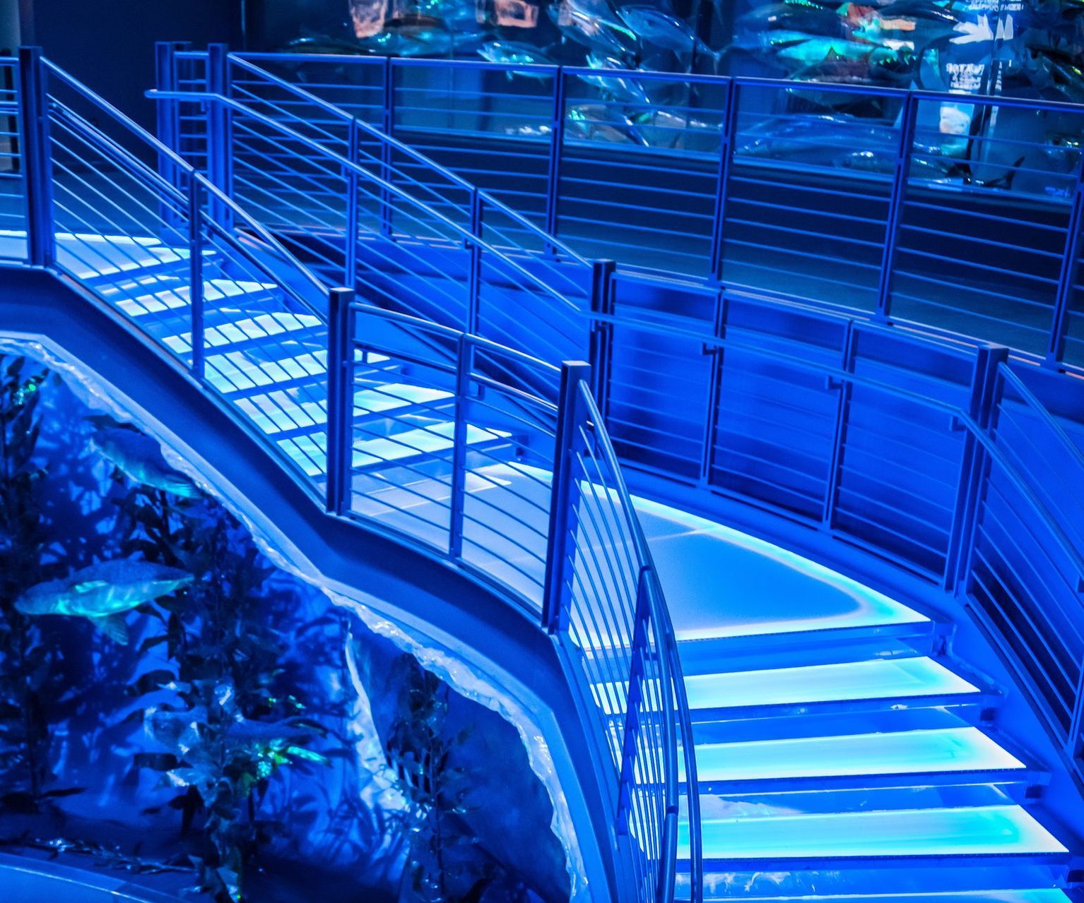 Glass stairs illuminated with blue LED lights at the Bass Pro Shops headquarters.