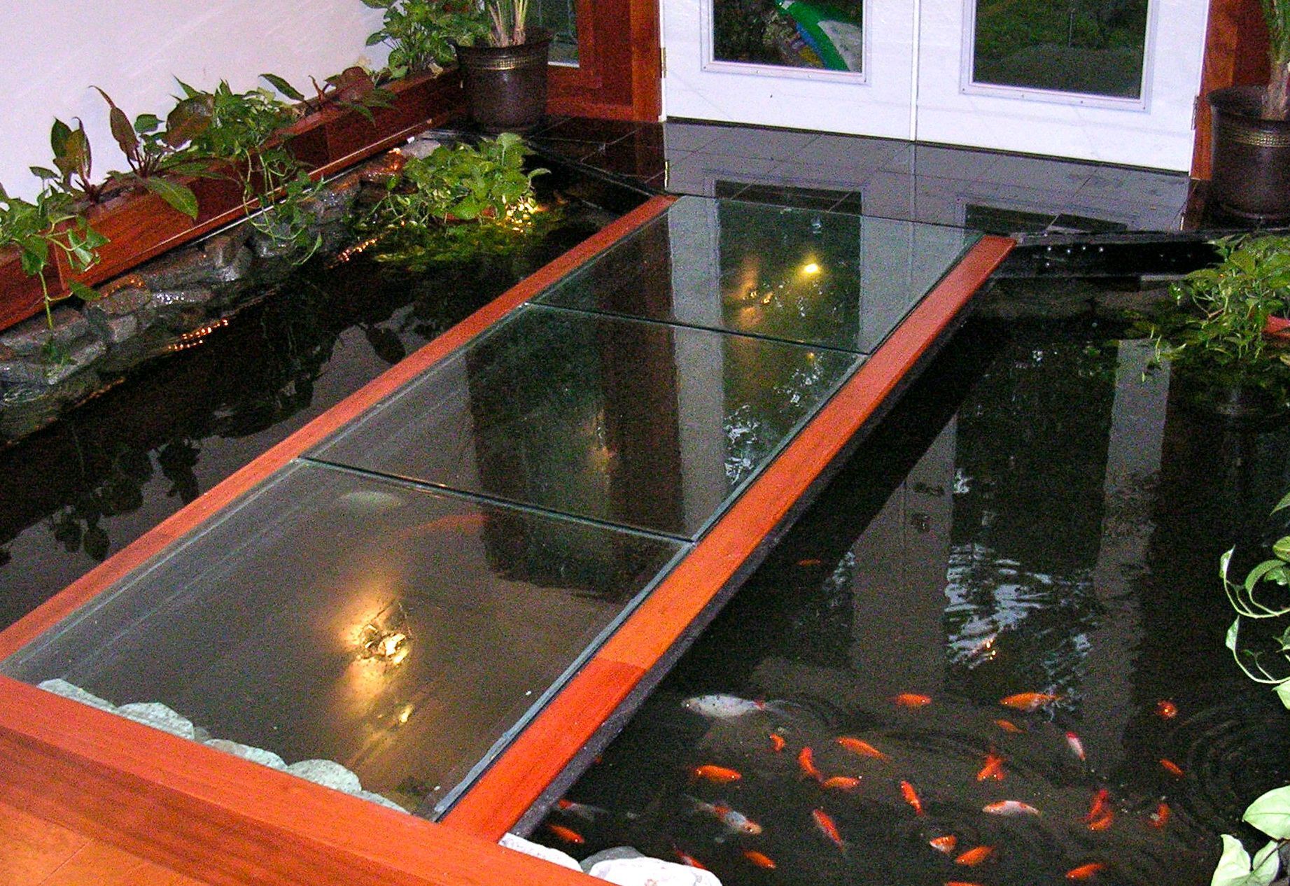 Koi pond with glass walkway; orange fish swim in dark water; wooden frame.