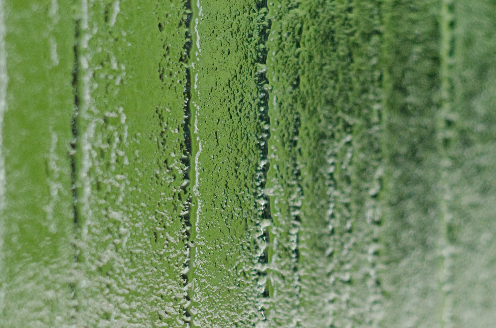 Detail Cast Glass Texture