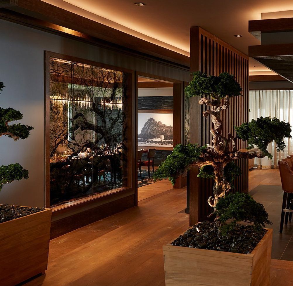 A room with a tree in the middle of it with a decorative antique mirror wall