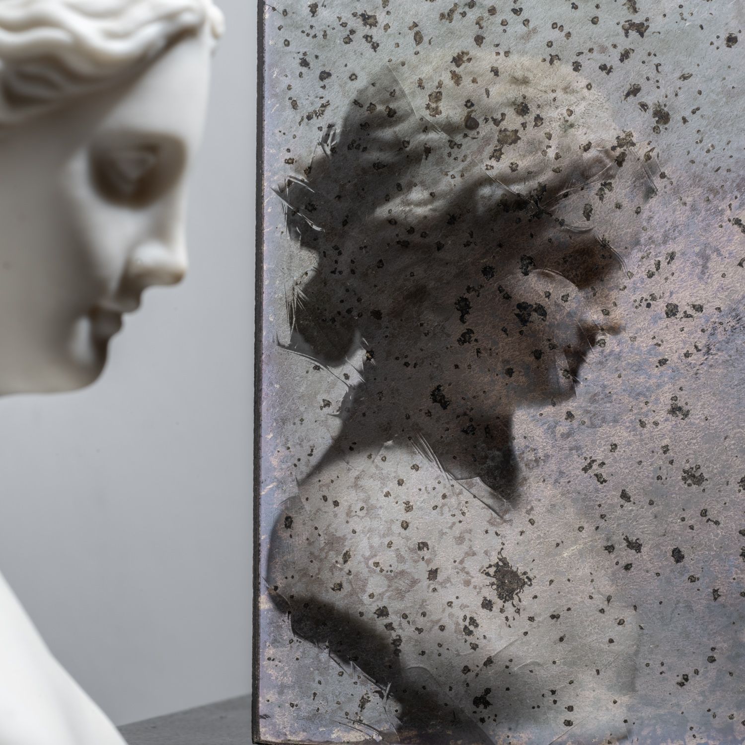 White classical bust beside a framed, speckled monochrome profile sculpture on a gray background