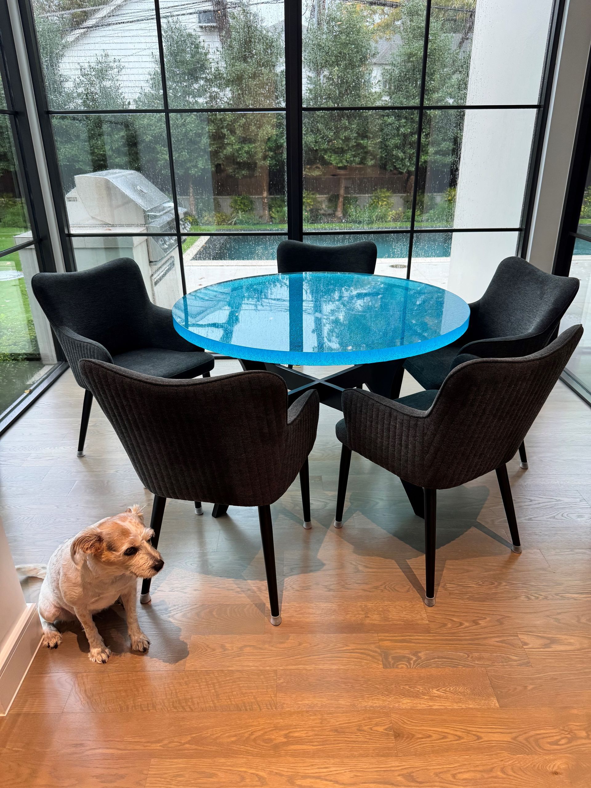 Dog sits on a wood floor near a round blue table with four dark chairs, in a room with large windows.
