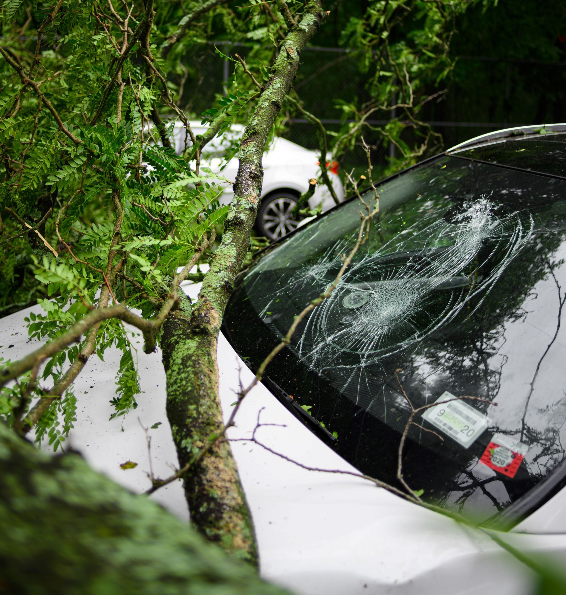 A car with a smashed windshield.