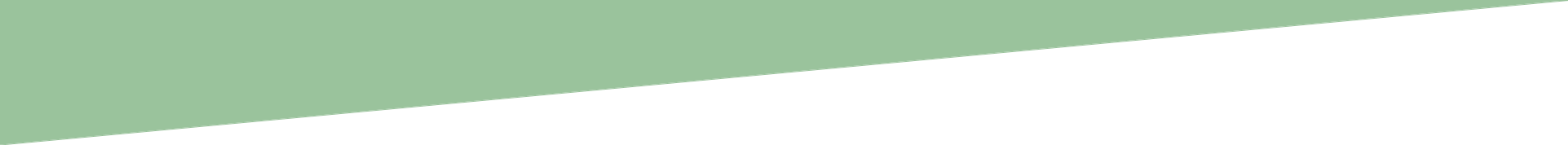 A piece of green paper is ripped in half on a white background.