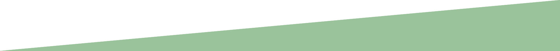 A close up of a piece of green paper on a white background.