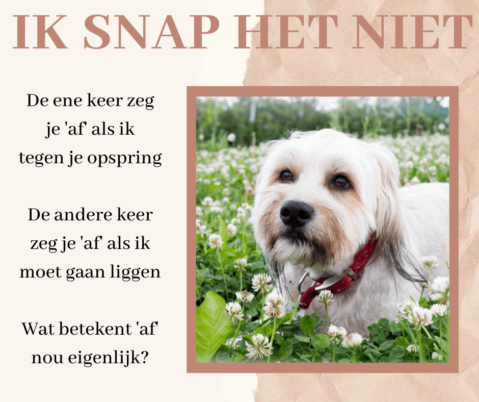 inconsequent leidt tot verwarring bij honden