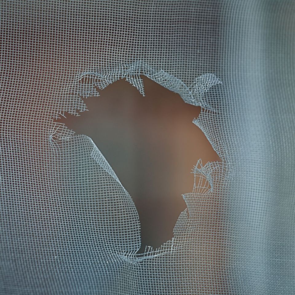 Torn window screen with a large hole. Dark background visible through the tear.