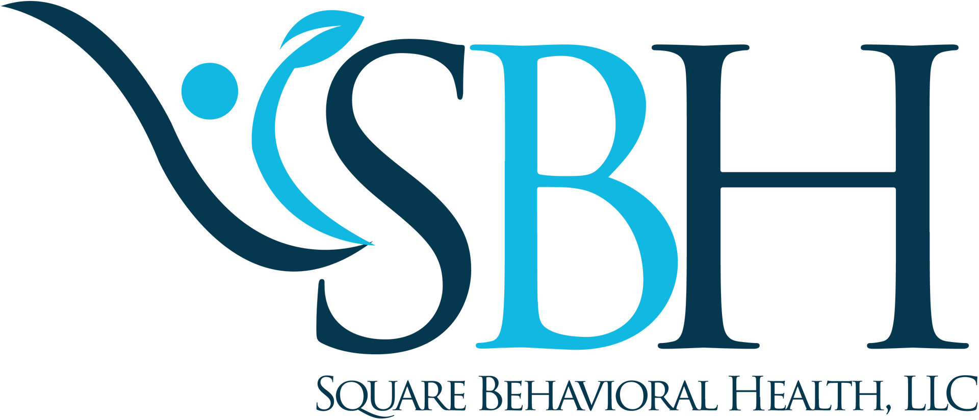 Square Behavioral Health LLC