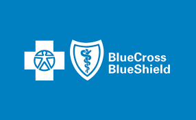 Blue Cross Blue Shield logo with a cross and a shield on a blue background.