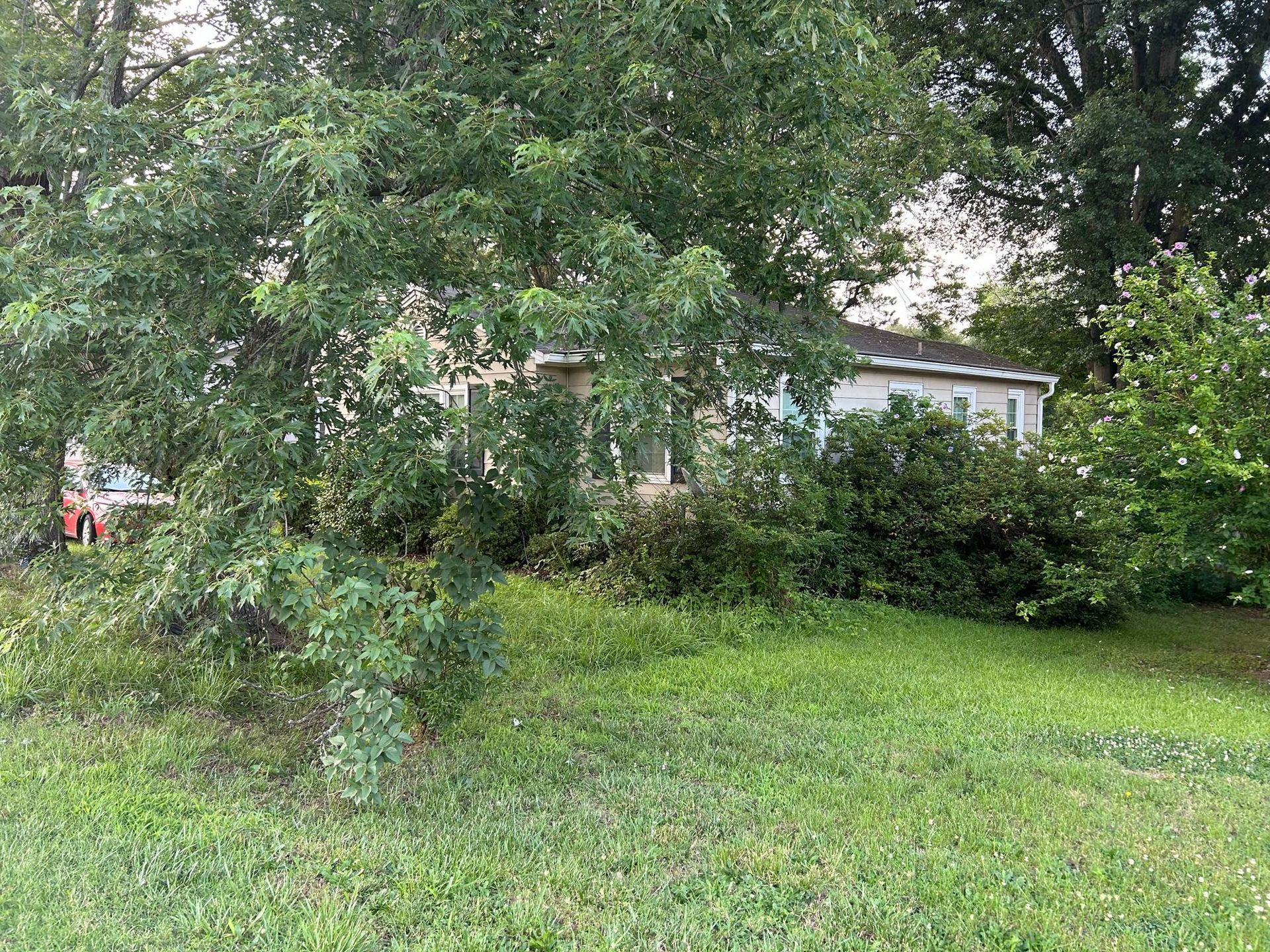 A small, light-colored house nestled amongst lush greenery, with a grassy lawn in the foreground.