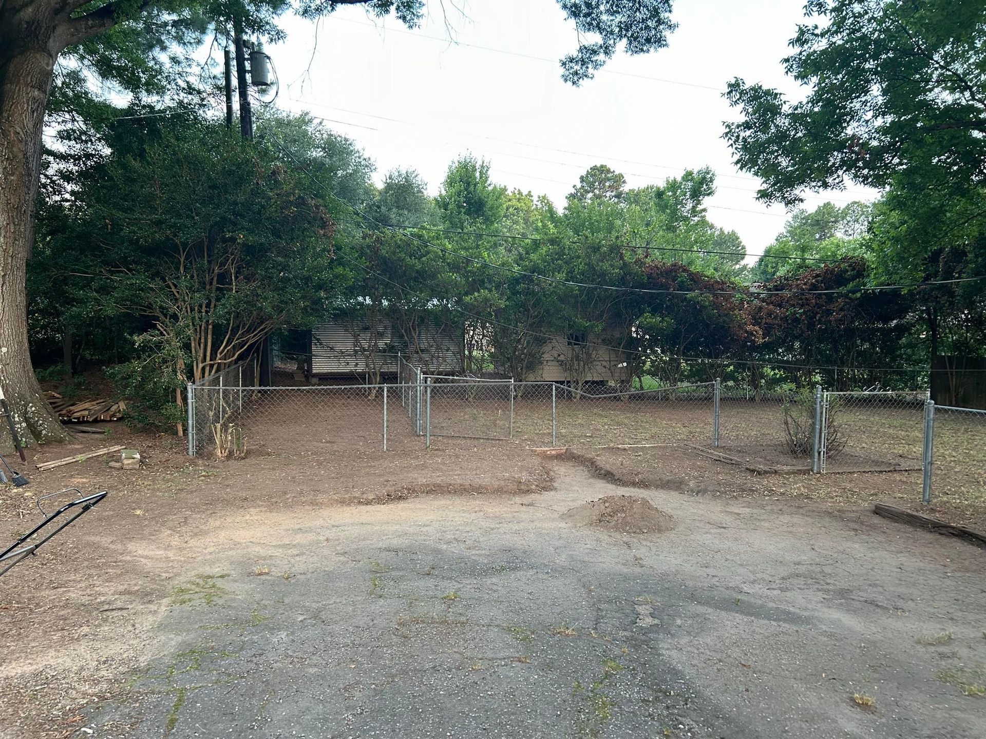 Gravel driveway leading to a backyard obscured by trees and shrubs, with a metal fence.