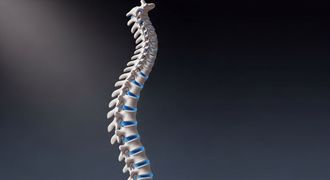 Anatomical model of a human spine against a dark background, showing vertebrae and blue discs.