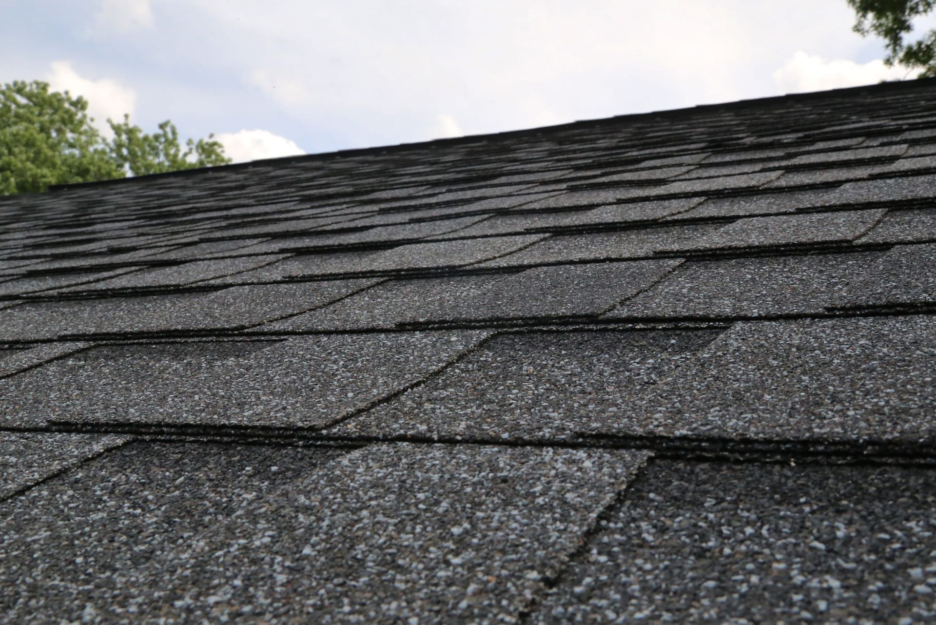 Close-up of a dark asphalt shingle roof against a partially visible blue sky, trees in background.