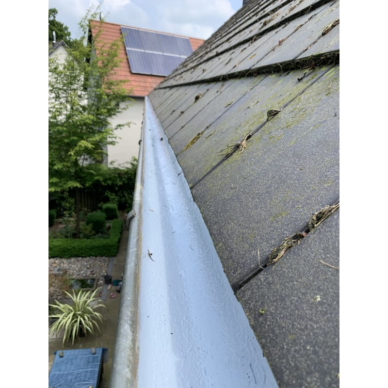 Window cleaner Stuart Burton Cleaning Services