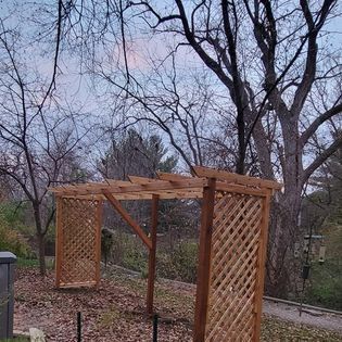A wooden pergola is sitting in the middle of a forest.