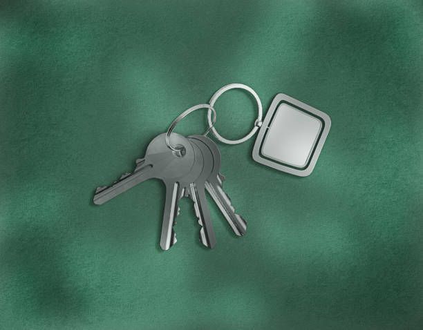 A bunch of keys on a keychain on a green background