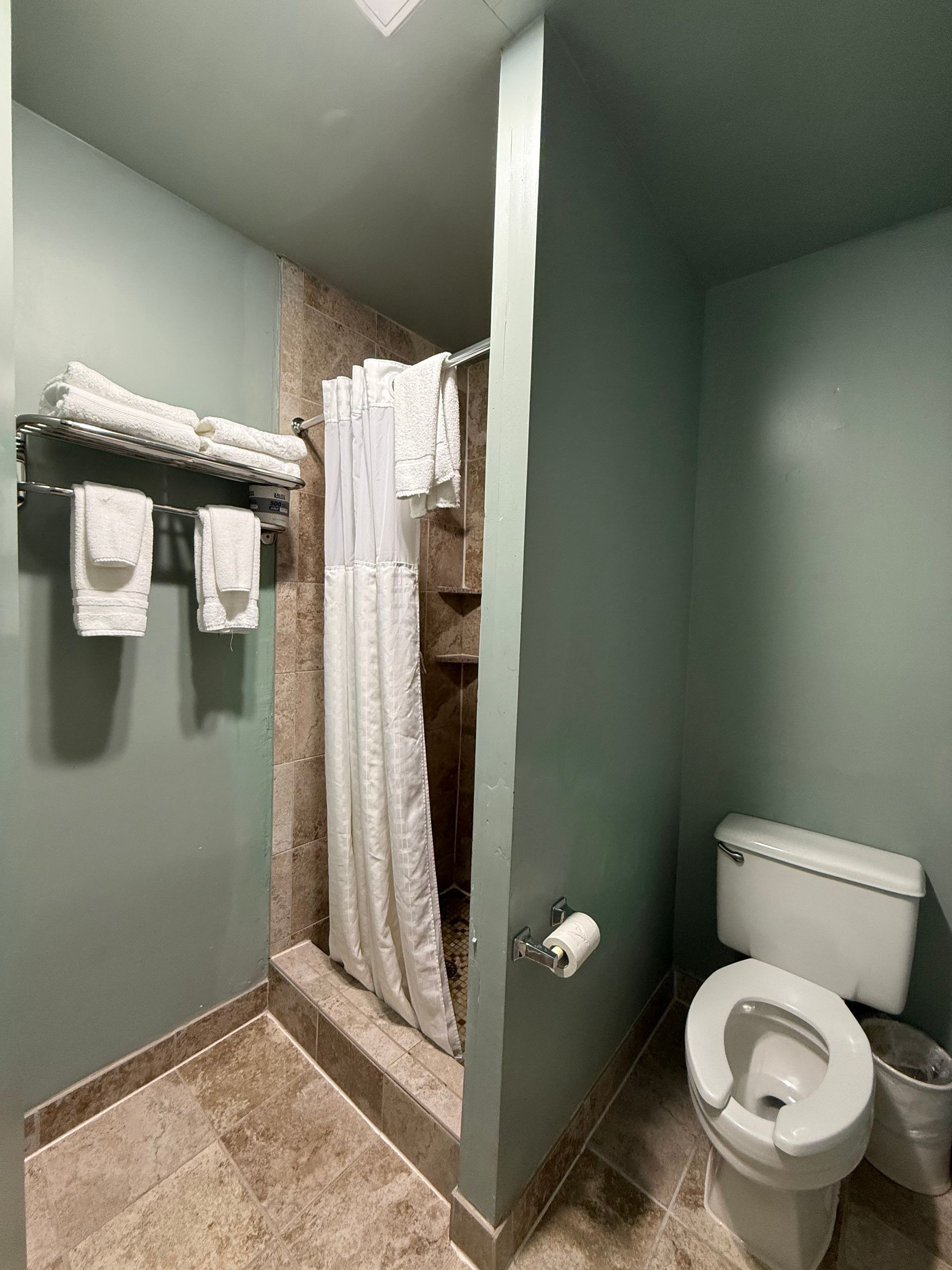 Bathroom with shower stall, toilet, towels, and pale green walls.