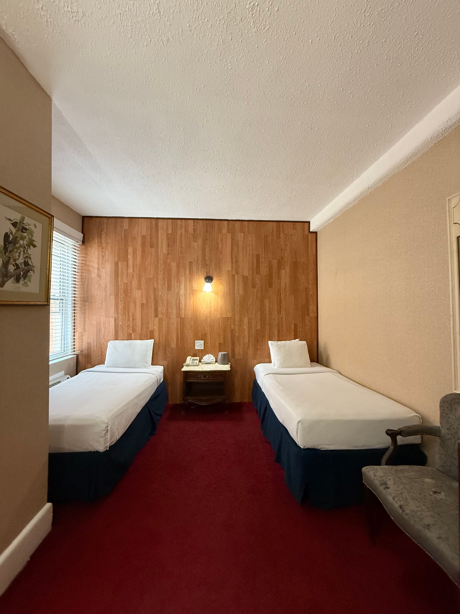 Two beds in a room with a red carpet and wood-paneled wall.