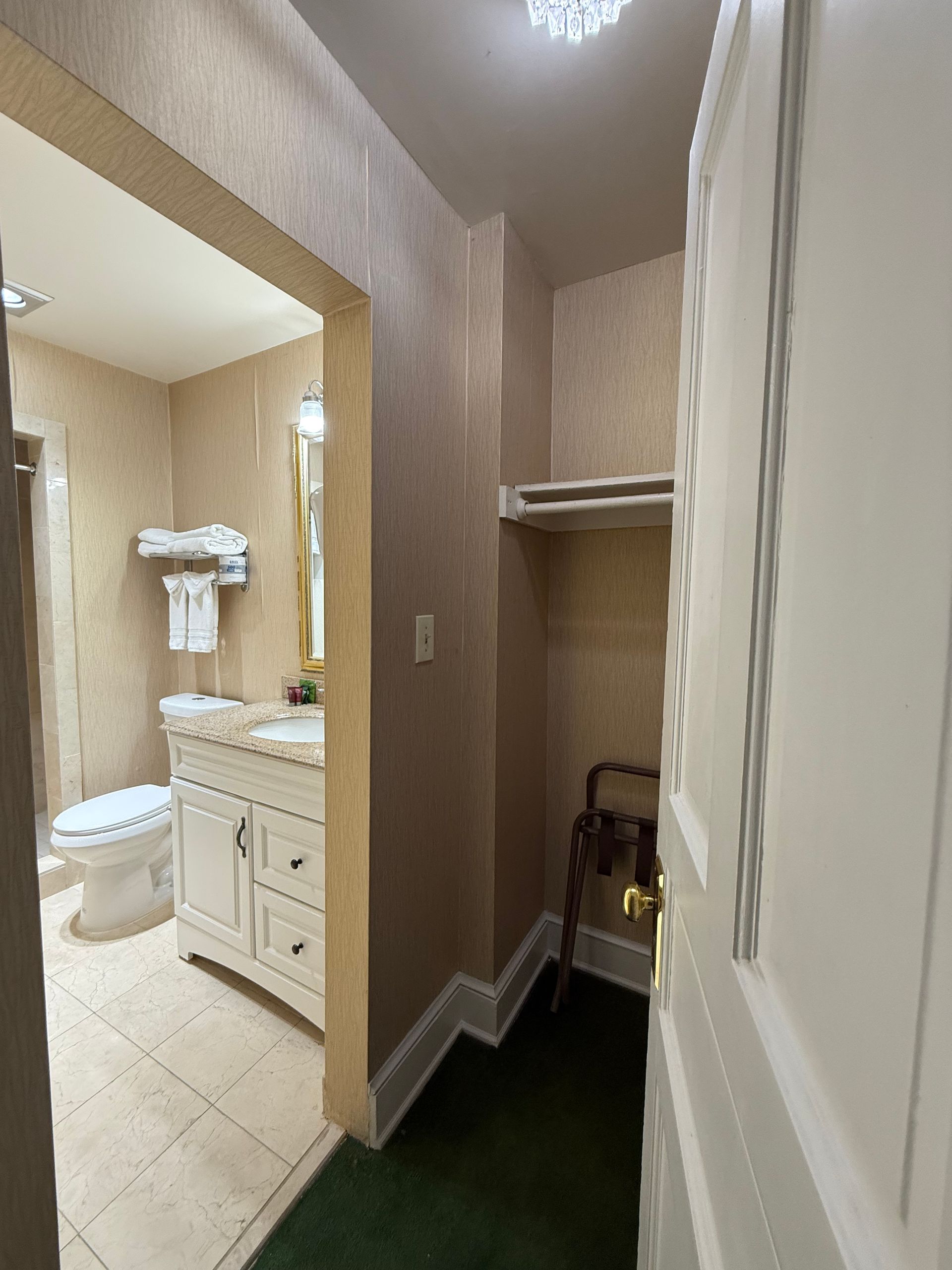 Bathroom and closet. Cream walls, white vanity, toilet. Green rug. Open door reveals space with a shelf and chair.
