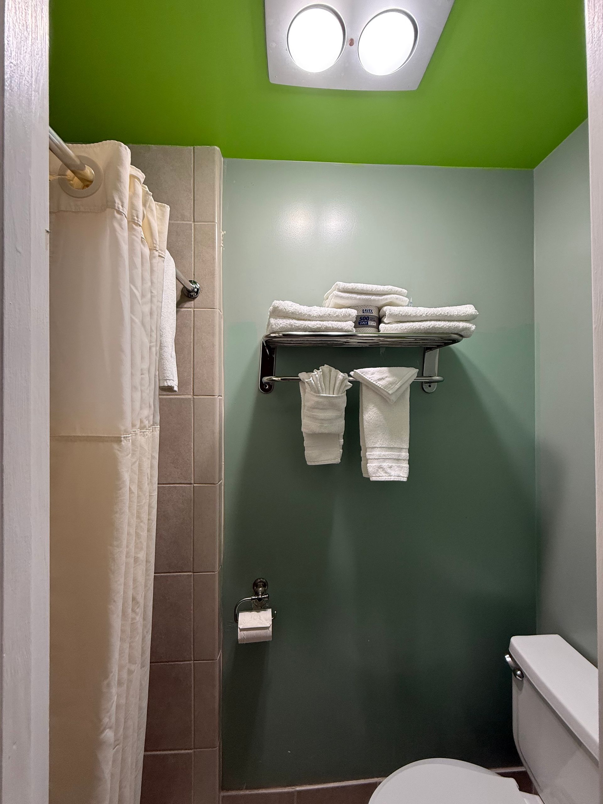 Bathroom with shower curtain, towels on rack, and toilet. Green and light green walls.