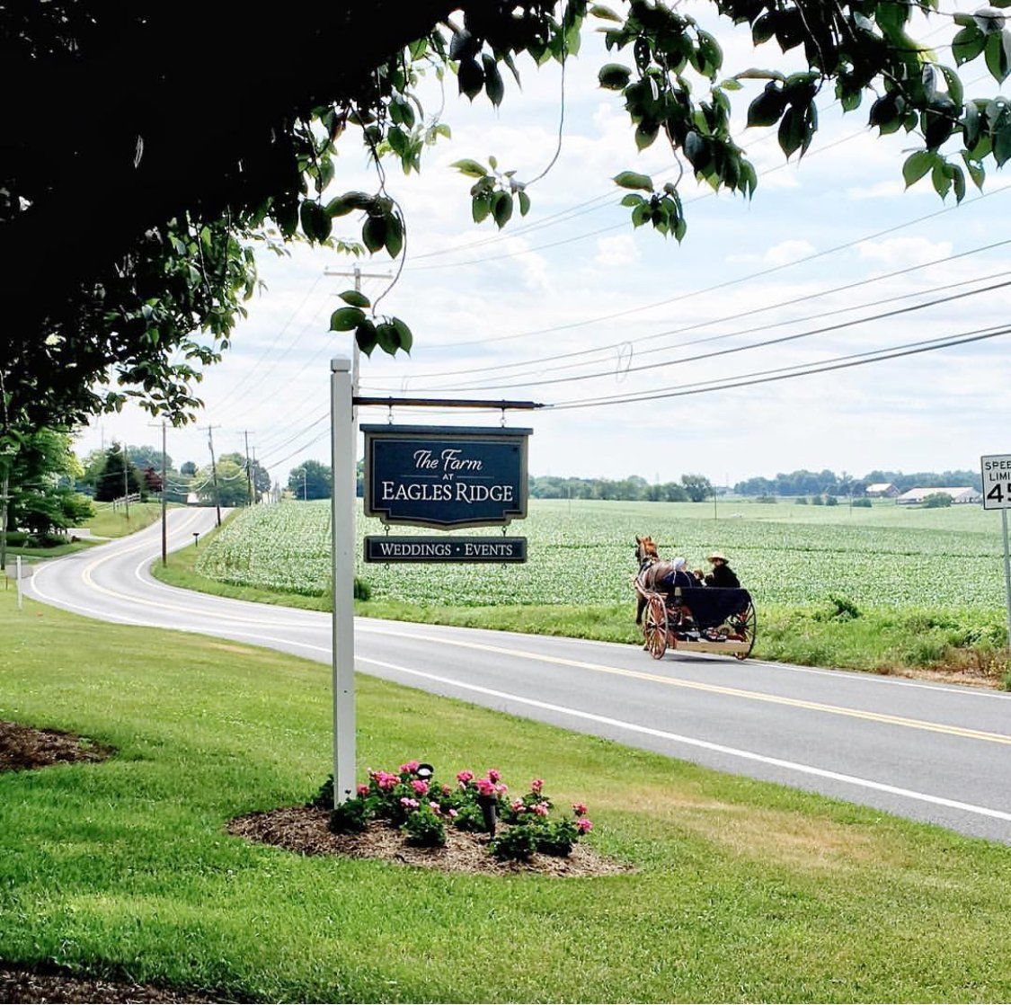 Treasured Events Furniture Rentals and Decor for Weddings in Lancaster, Pa