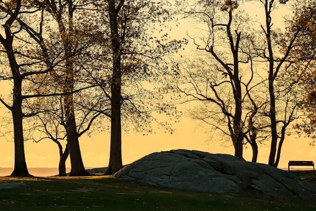 direct cremation Midwest City, OK