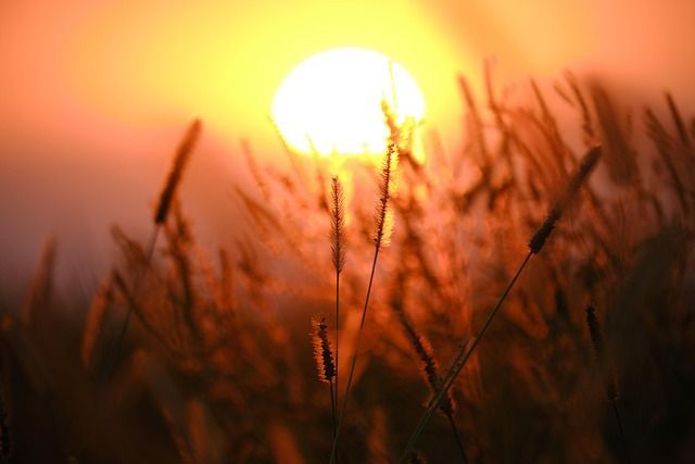 direct cremation Norman OK