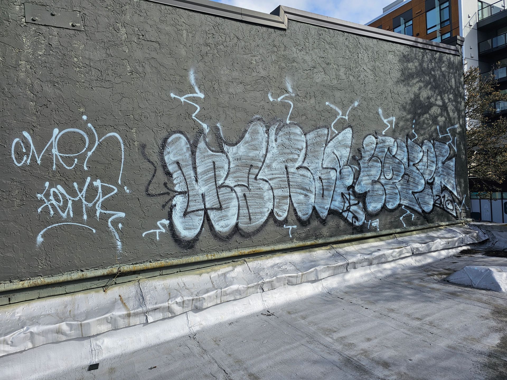 Graffiti on a gray wall, with white bubble letters and tags in a sunny outdoor setting.