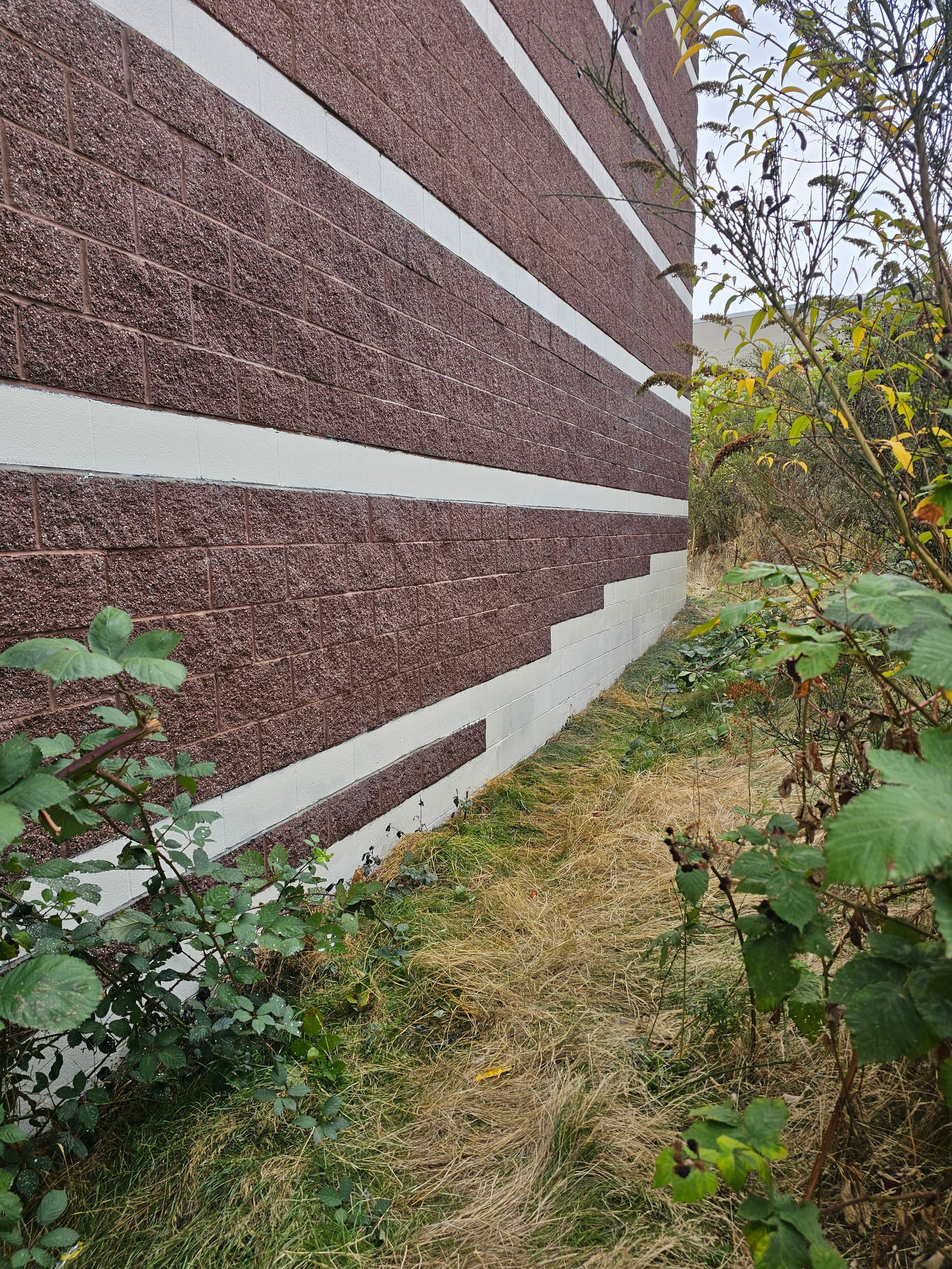 Brown textured wall with white horizontal stripes next to a grassy area with plants.