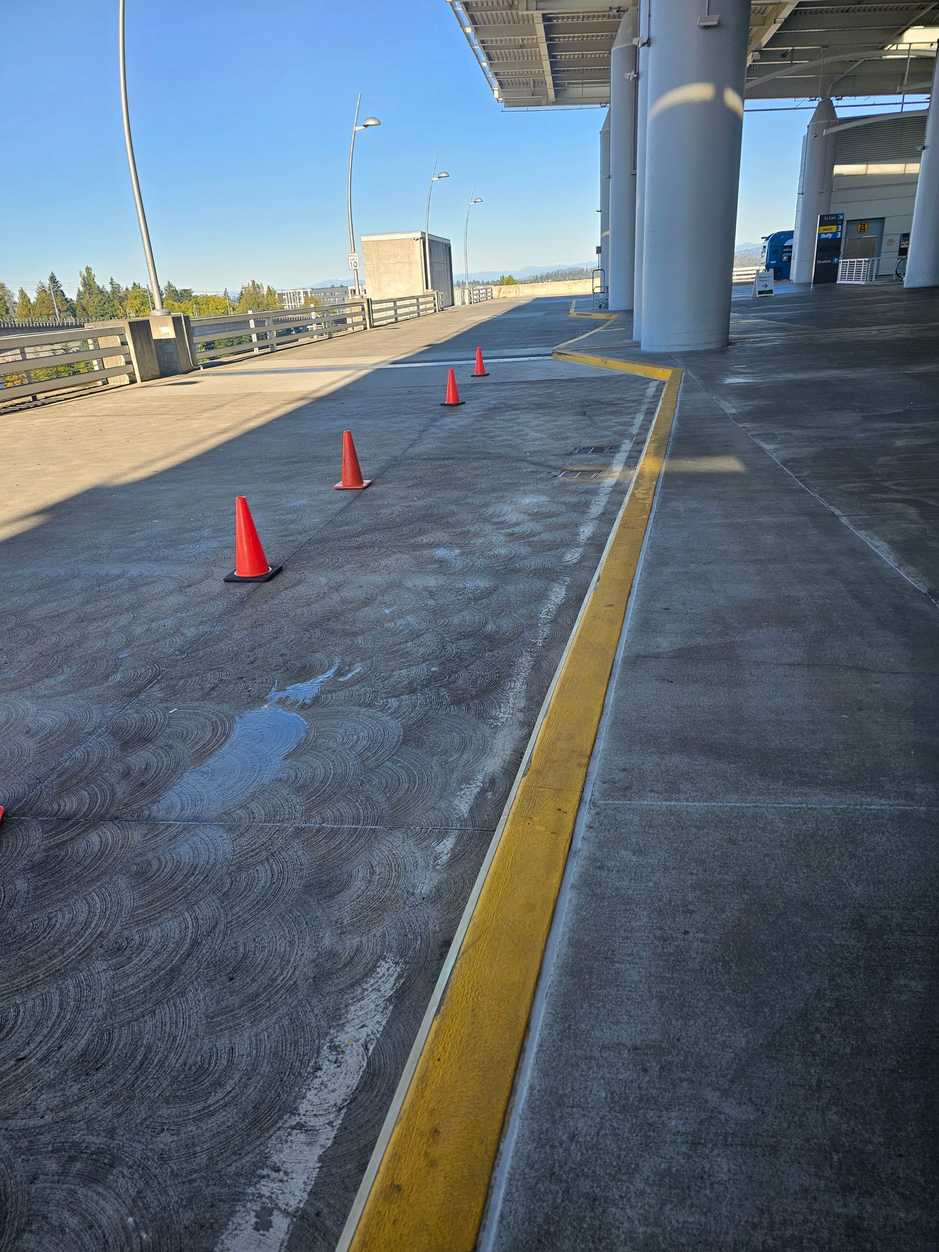 Wooden deck with moss, table, and a green-tinted wooden fence.