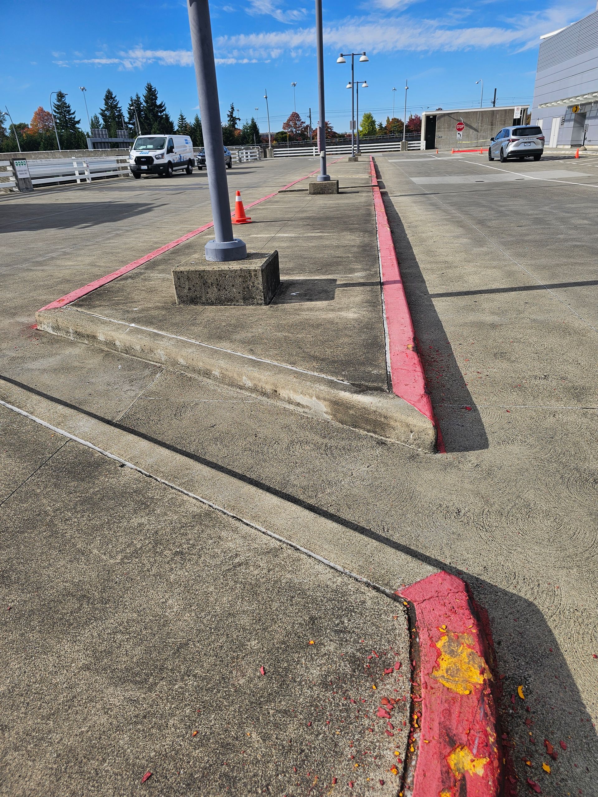 Moss-covered driveway with cracks, leading to a garage and a building on the right. Green and gray colors.