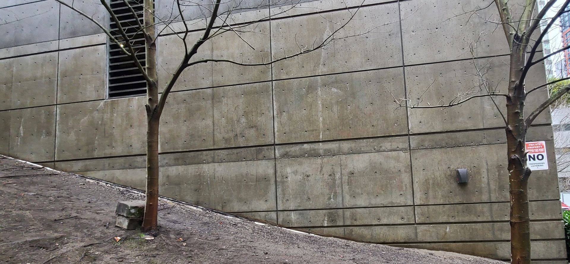 Two bare trees frame a gray concrete wall with a small slope and dark gravel ground.
