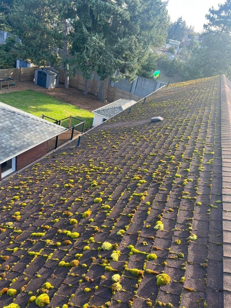 Moss-covered asphalt shingle roof on a house with a grassy yard and trees in the background.