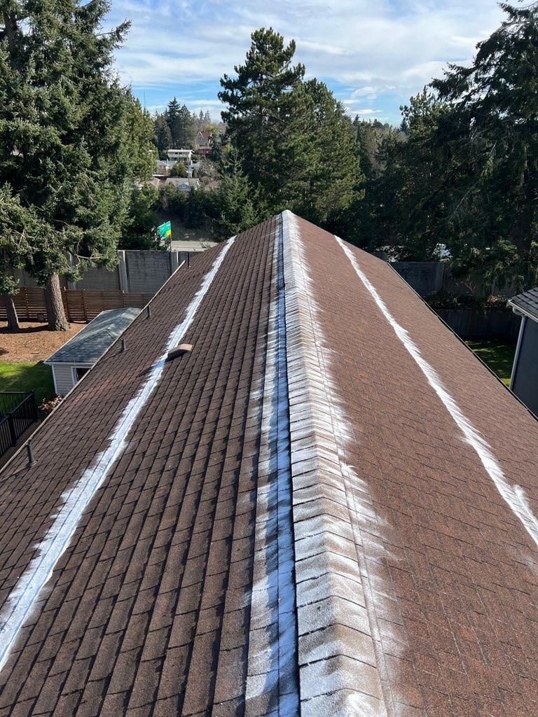 Brown shingle roof with white streaks, trees in the background, and a sunny sky.