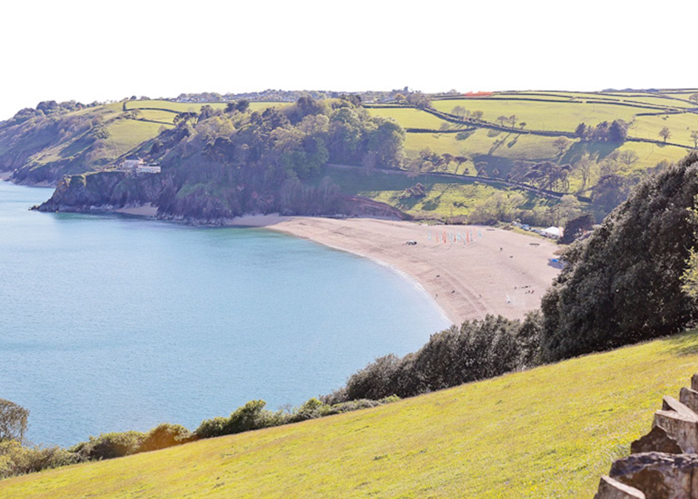 A large body of water surrounded by grass and trees