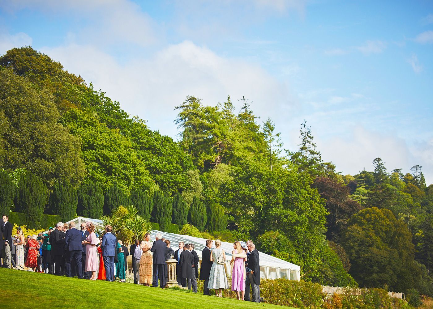 A group of people standing on top of a lush green hill.