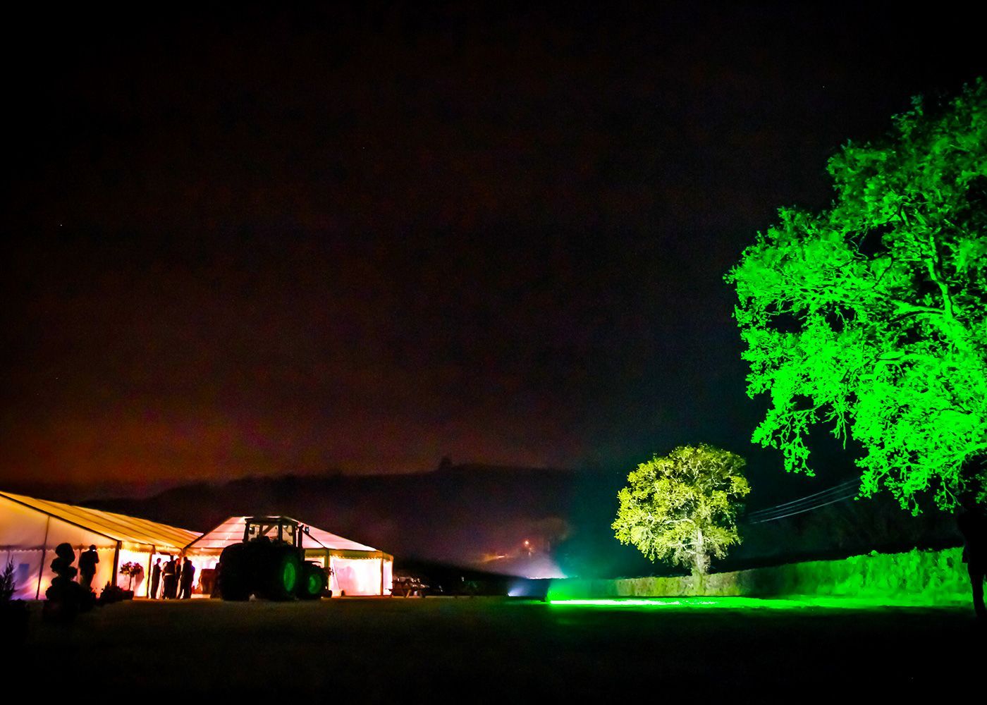 A tree is lit up with green lights at night