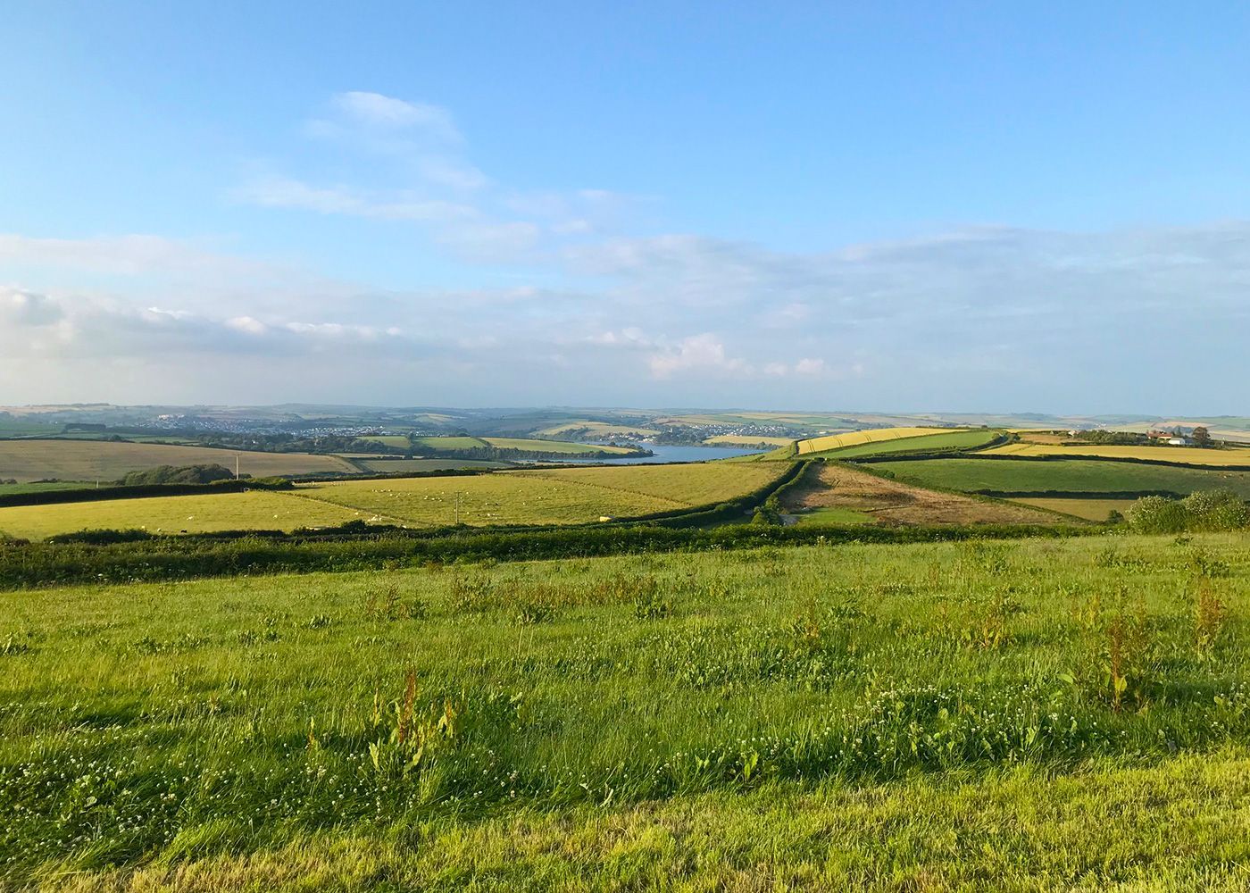 A view of a lush green field with a body of water in the distance.