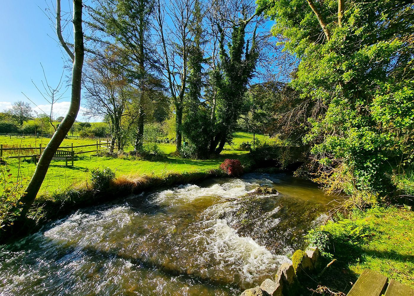 A river flowing through a lush green field surrounded by trees.
