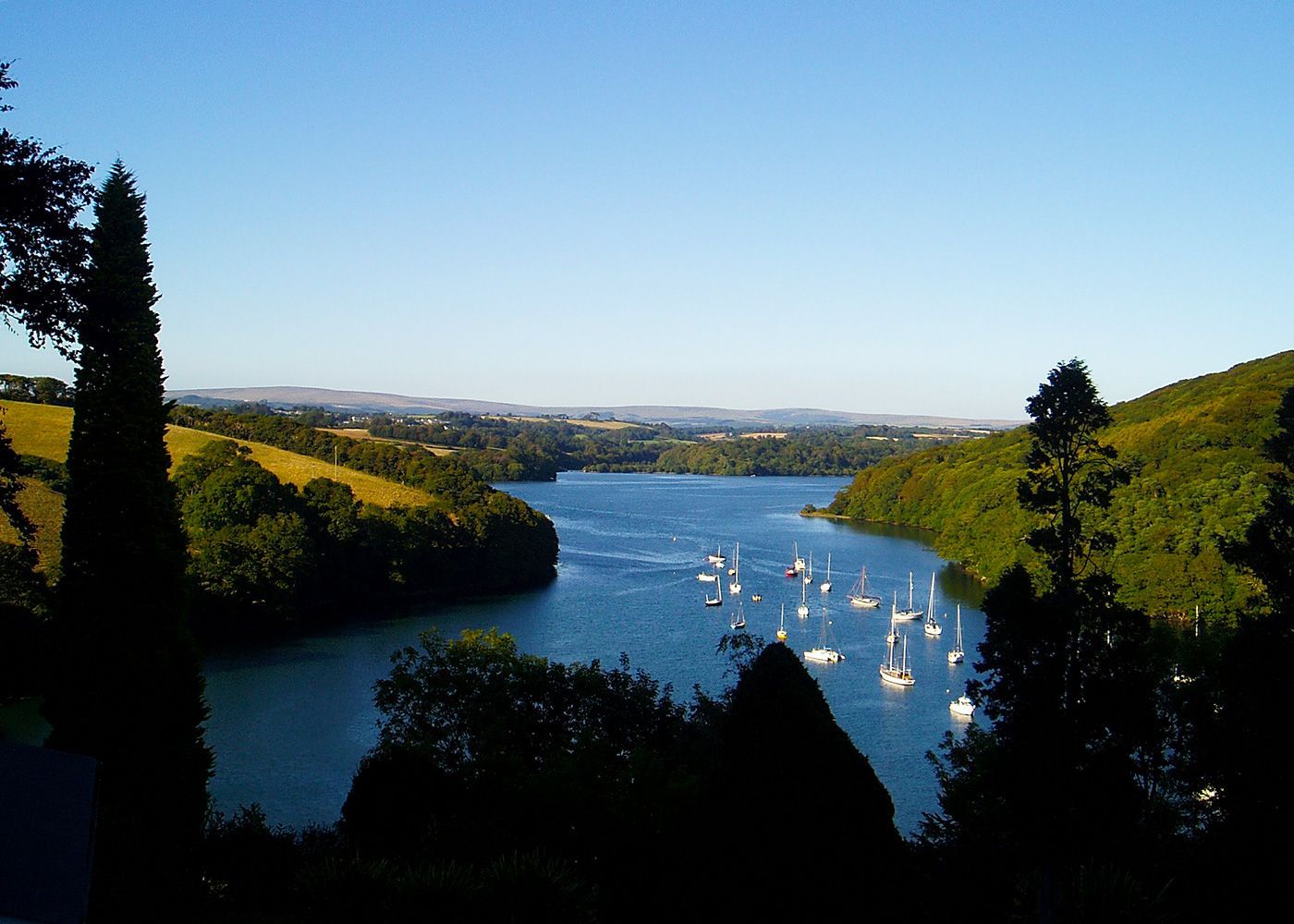 A view of a lake with boats in it surrounded by trees