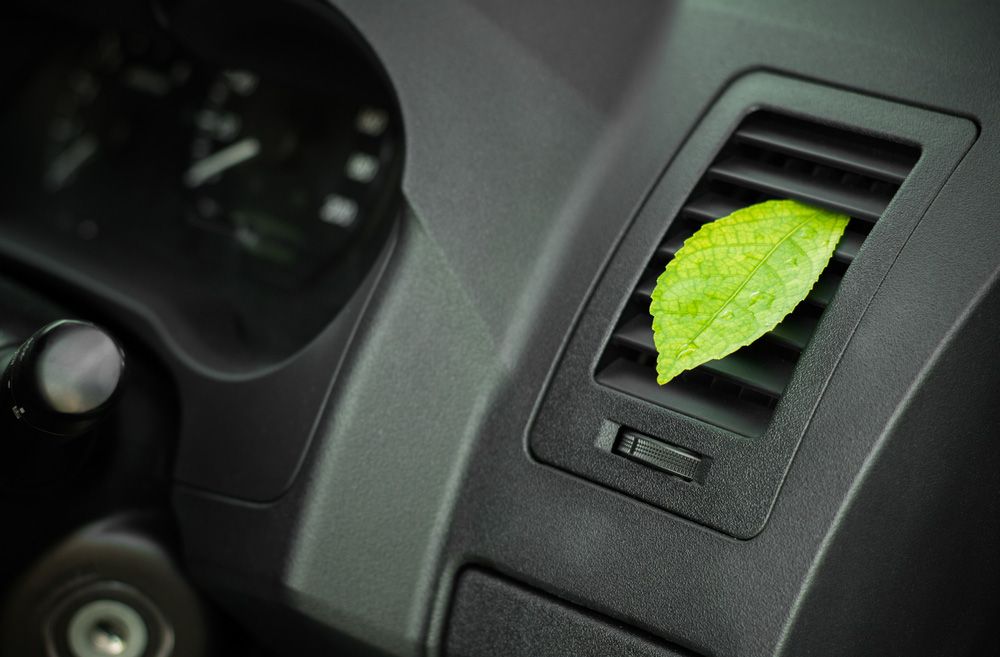 Green Leaf Sticking Out Of A Car Air Vent — Erina Car Air Conditioning In Kincumber, NSW