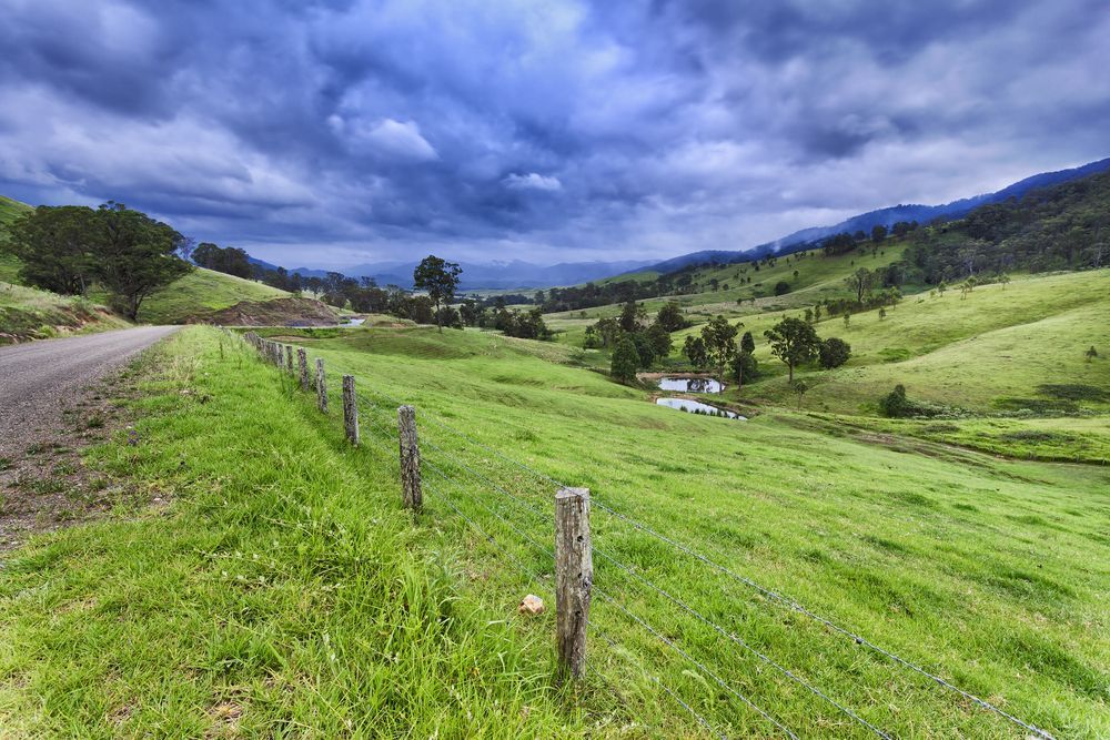 Arrival View of Repton with Sky, Lush Trees, and Concrete Driveway — Erina Car Air Conditioning In Wyoming, NSW