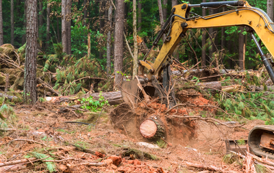 Yellow excavator loading dirt into a red dump truck, against a blue sky.